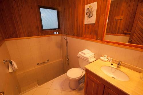 Hotel Y Termas Huife