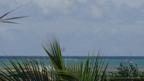 Bed And Breakfast Maison Papaye