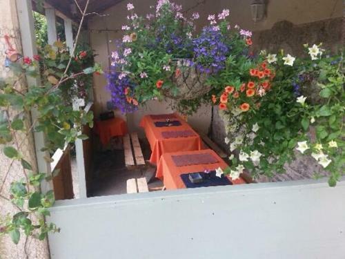 Agroturismo Clonacody House