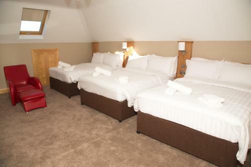 Hostal Lynch's Townhouse