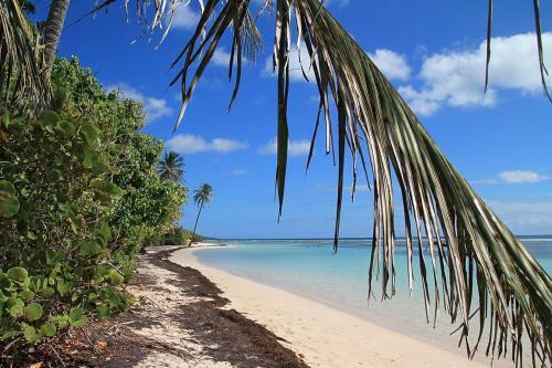 Cambourg Lodge Resort