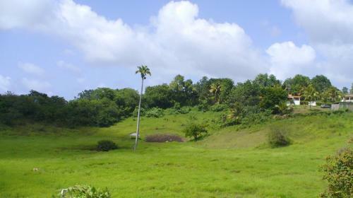 Cambourg Lodge Resort
