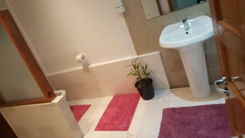 Apartamento The White Self Contained Cottage - Homestay