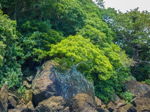 Hotel Matangi Private Island Resort - Adults Only