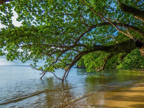 Hotel Matangi Private Island Resort - Adults Only