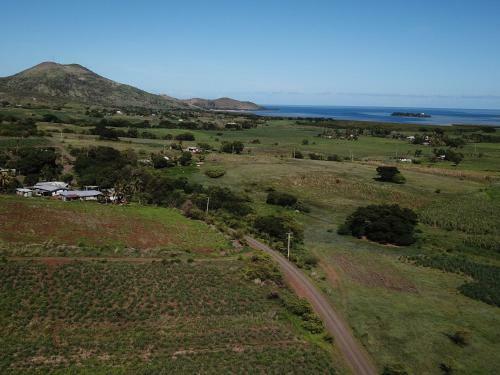 Hostal The Beehive Fiji