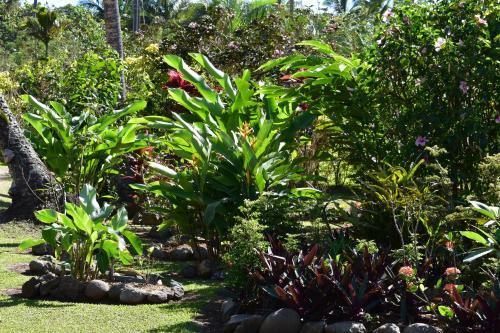 Island Breeze Fiji