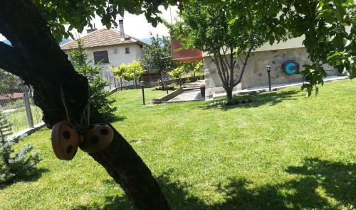 Hostal Guest House Hvoina