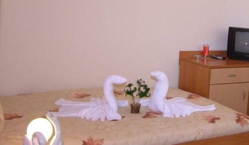 Family Hotel St. Constantine And Helena