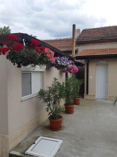 Hostal Villa Ros Guest House