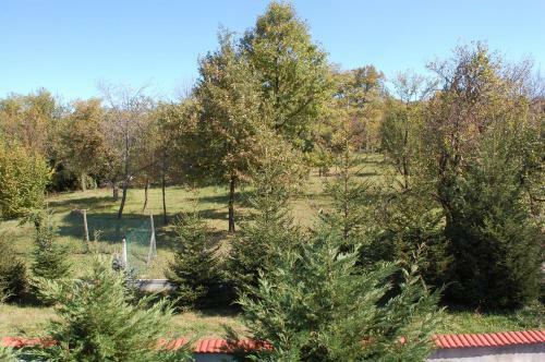 Hostal Mutafova House