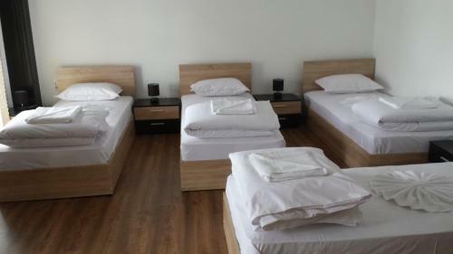 Hostal Papanovata House