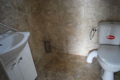 Hostal Draganov House