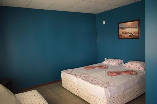 Hostal Draganov House