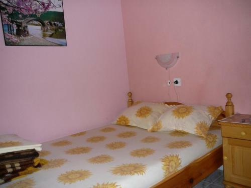 Hostal Mountain Sun Guest House