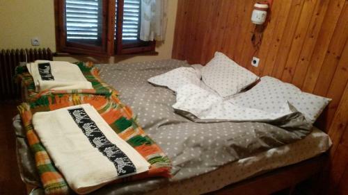 Guest House Zdravets