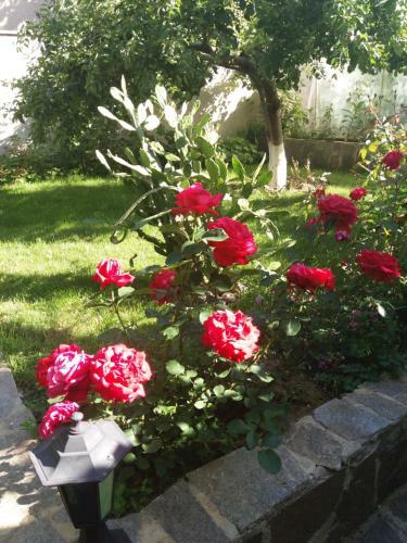Apartamento Rooms Veska