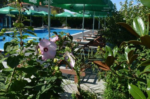 Hotel Iva Resort