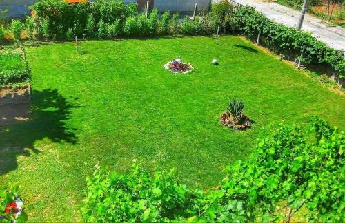 Hostal Guest House Dimi