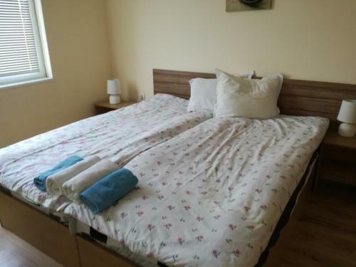 Bazdarovi Apartment