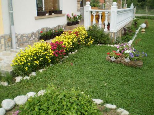 Hostal Guest House Debrina
