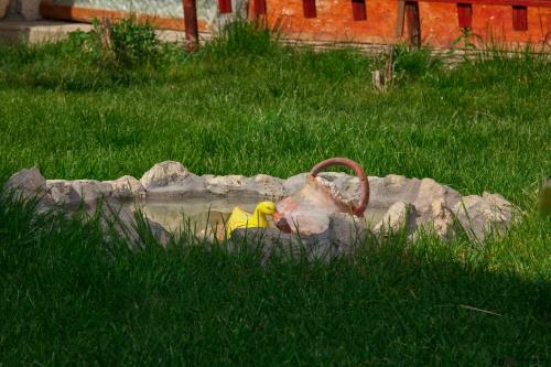 Hostal Semeen Hotel Valdes