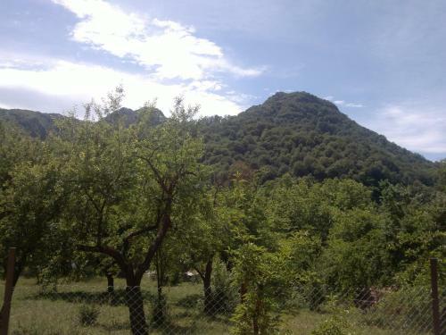 Villa Nanevi