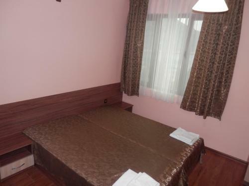 Family Hotel Borovitsa