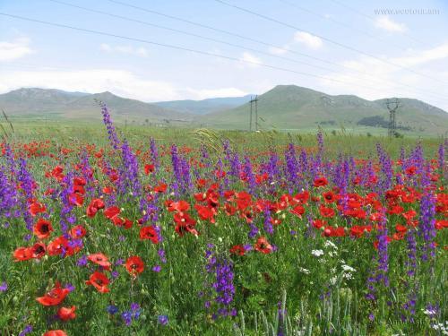 Old Tatev B&B