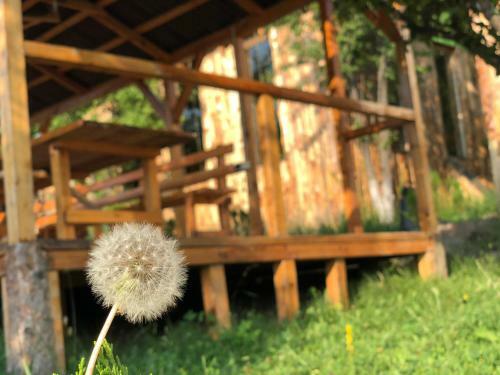 Hostal Popock Tsaxkadzor