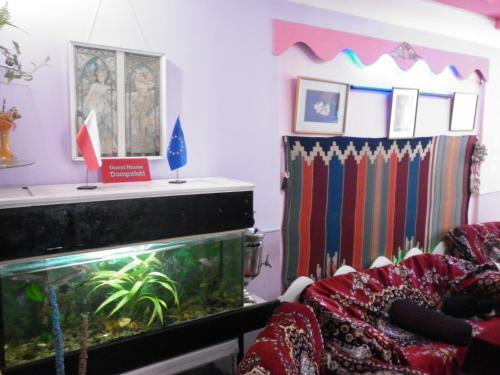 Hostal Guest House Dompolski