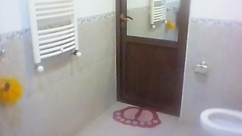 Sayat-nova 2