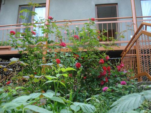 Khachik's B&B
