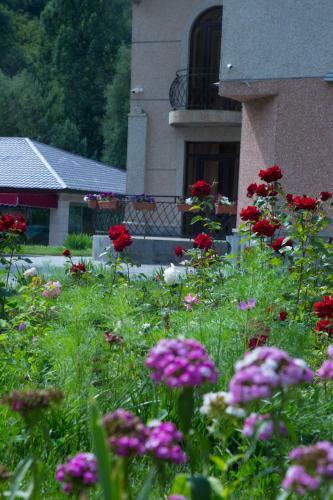 Hotel Jermuk Verona Resort