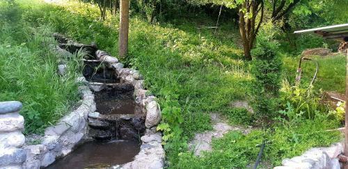 Hostal Guest House Eco Oldijevan