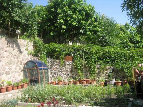 Hostal Hyelandz Eco Village Resort