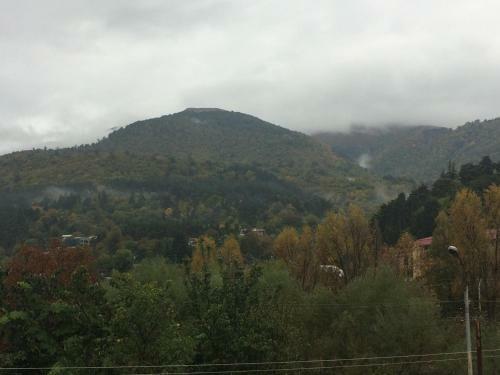 Hostal Gokor B&B