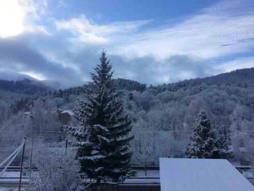 Hostal Gokor B&B