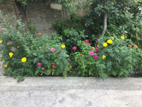 Hostal Gokor B&B