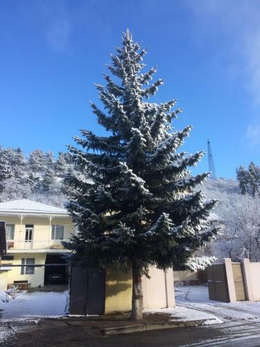 Hostal Gokor B&B