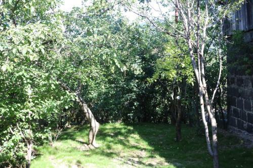 Dilijan Family House