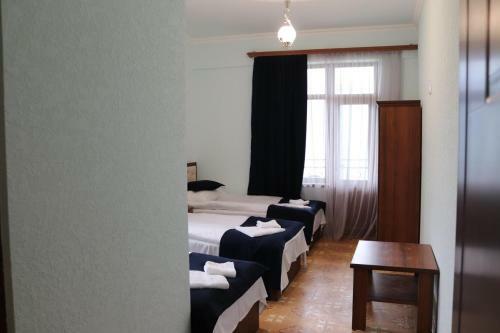 Hotel Dzorak