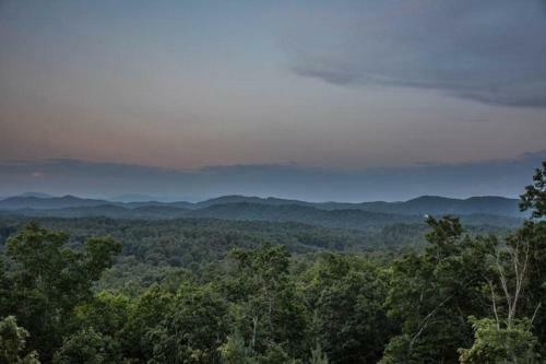 Tree Tops