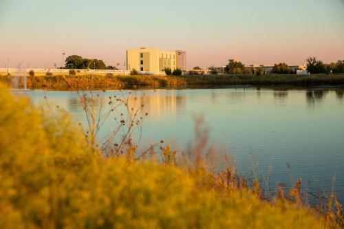 Hotel Springhill Suites By Marriott Austin Cedar Park