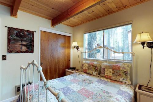 Sequoia Dreams