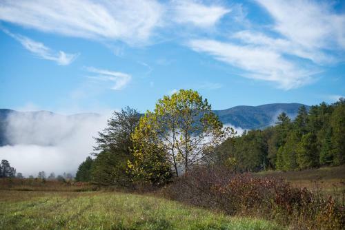 Above The Smokies