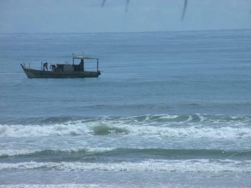Hostal Pousada Bicho D'gua