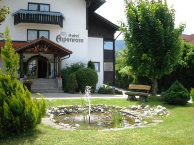 Md-hotel Alpenrose