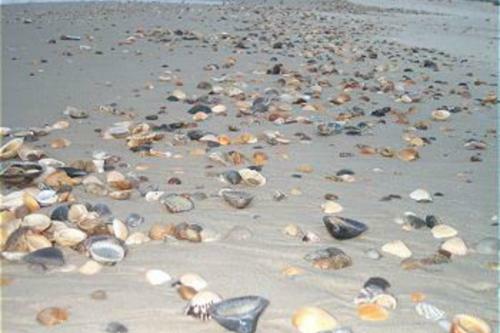 Apartamento Club At Cape San Blas 2b