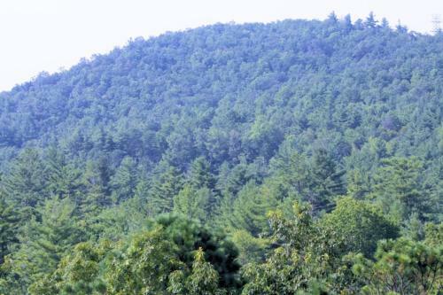 Apartamento North Carolina Mountain Retreat Condo